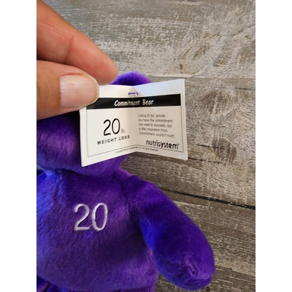 Nutrisystem Celebration Bears 20 & 30 Lbs Purple & Blue Plush Collectible - Picture 13 of 15